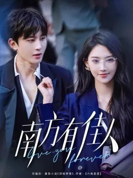 南方有佳人海报