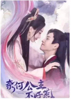 奈何公主不好惹海报