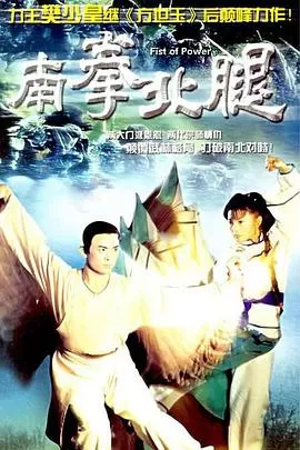 南拳北腿(粤语)海报