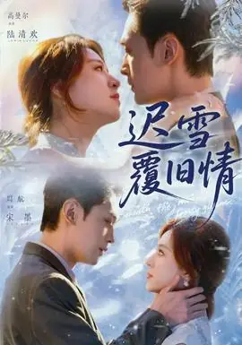 迟雪覆旧情海报