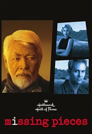 缺失的部分海报