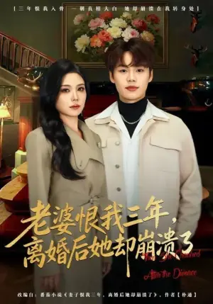 老婆恨我三年,离婚后她却崩溃了海报