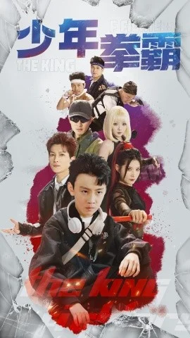 少年拳霸海报