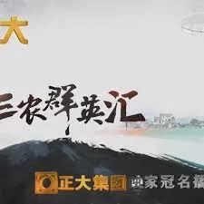 三农群英汇2023海报