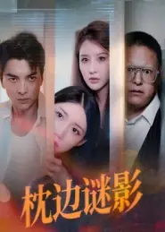 枕边谜影海报