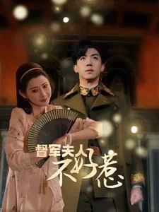 督军夫人不好惹海报