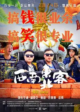 西南东北客海报