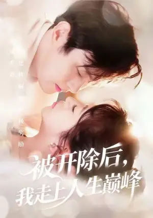 被开除后,我走上人生巅峰海报