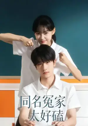 同名冤家太好磕海报