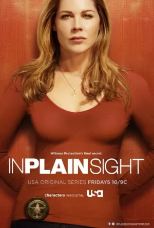 平地风云第五季海报