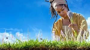 筑梦田园第一季海报