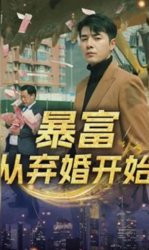 暴富从弃婚开始海报