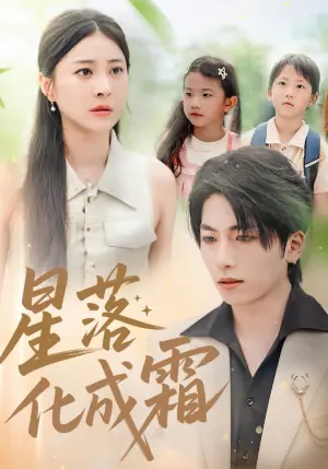 星落化成霜海报