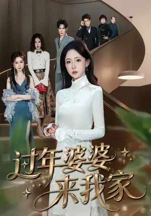 过年婆婆来我家海报