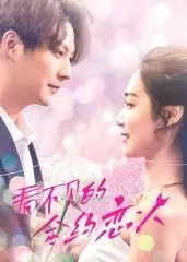 看不见的合约恋人海报