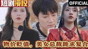 物价贬值,美女总裁跪求复合海报