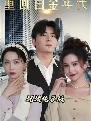 重回白金年代海报