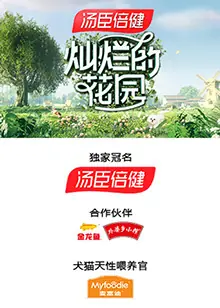 灿烂的花园云监工海报