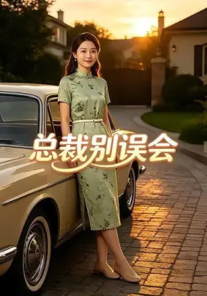 总裁别误会海报
