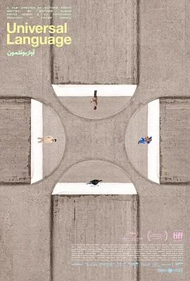 共同的语言海报