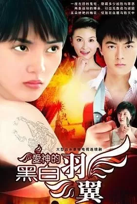 爱神的黑白羽翼海报