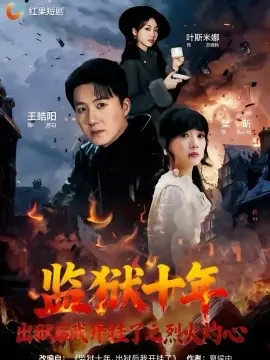 监狱十年,出狱后我开挂了之烈火灼心海报