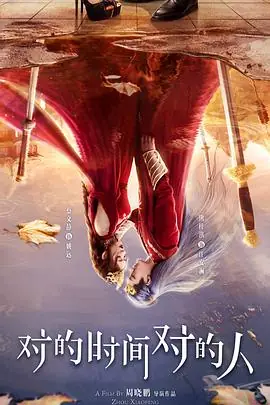 对的时间对的人海报