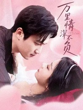 万里情深不负海报