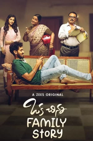 一个小家庭的故事海报