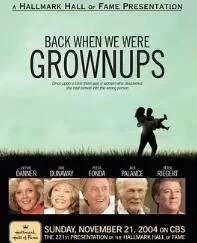 昨日当盛年海报