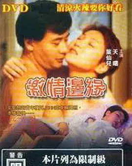 激情边缘海报