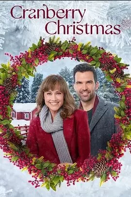 蔓越莓圣诞海报