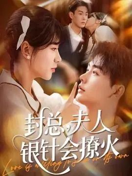 封总,夫人银针会撩火海报