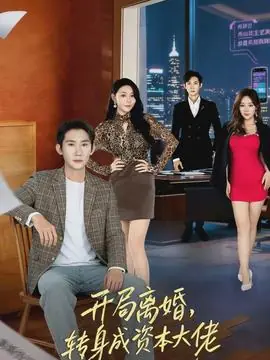 开局离婚,转身成资本大佬海报