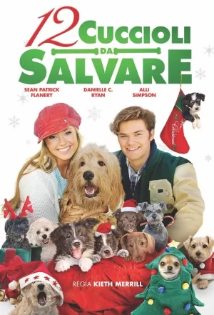 圣诞节的十二只狗狗海报