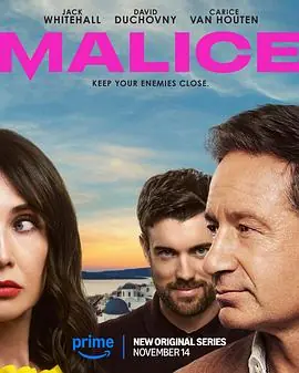 恶念Malice海报