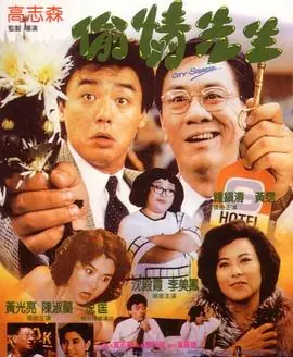 偷情先生(国语)海报