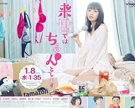 下辈子我再好好过第一季海报