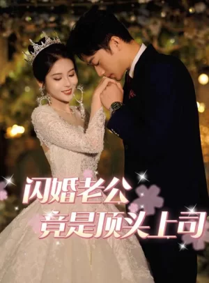 闪婚老公竟是顶头上司海报