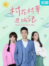村花村草进城记海报