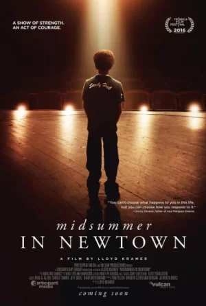 新镇的仲夏海报