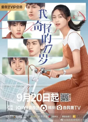 我奇怪的17岁³海报