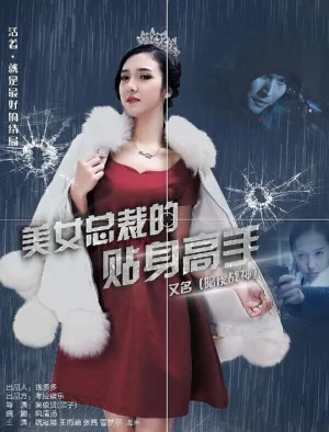 美女总裁的贴身高手海报