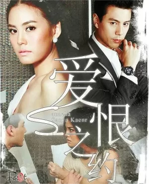 爱恨之约海报