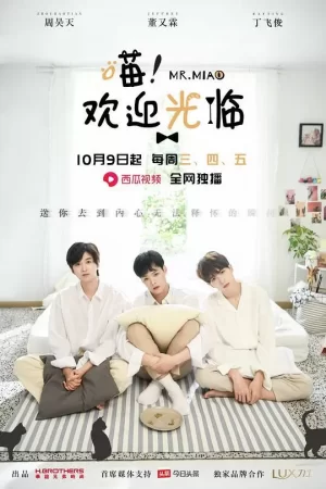 喵!欢迎光临海报