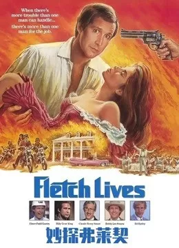 妙探弗莱契海报