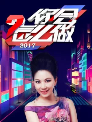 你会怎么做2017海报