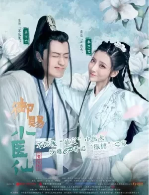 御赐小医仙海报
