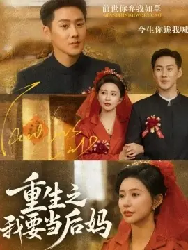 重生之我要当后妈海报