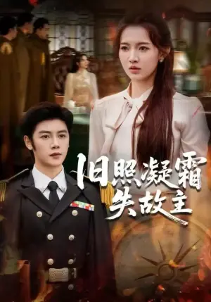 旧照凝霜失故主海报